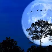 Imperdible llegada de la Luna de Nieve: cuándo y cómo verla