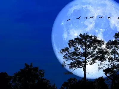 Luna de Nieve.