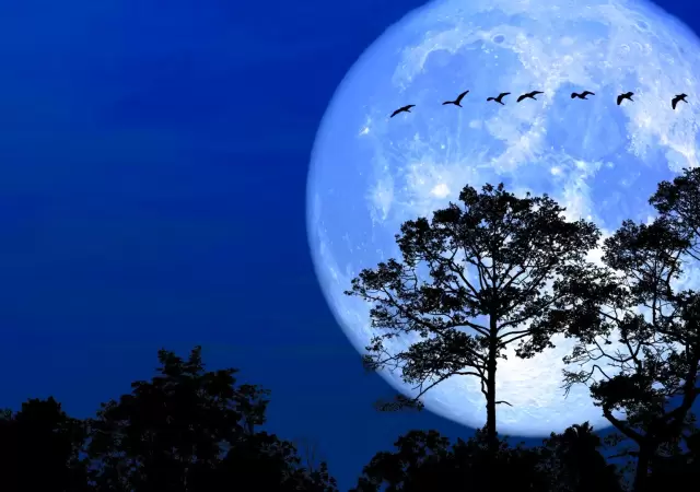 Luna de Nieve.