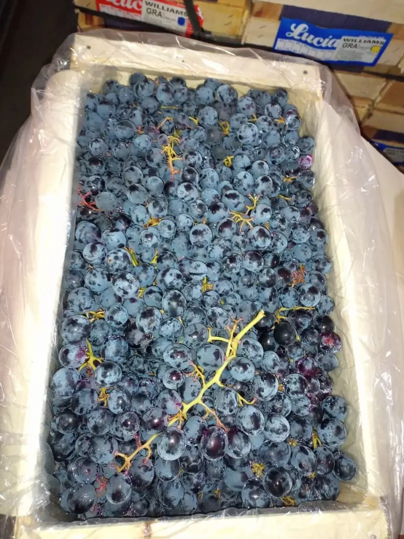 Uvas
