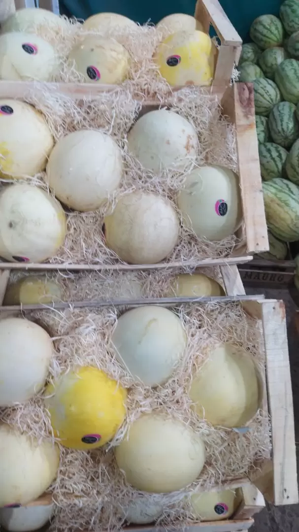 Melones