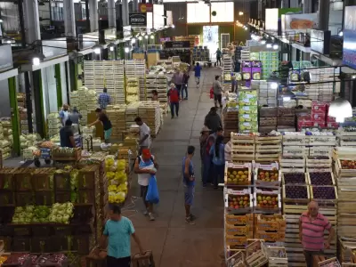 Mercado frutihort�cola de Cuyo en vilo: incertidumbre y precios en la cuerda floja
