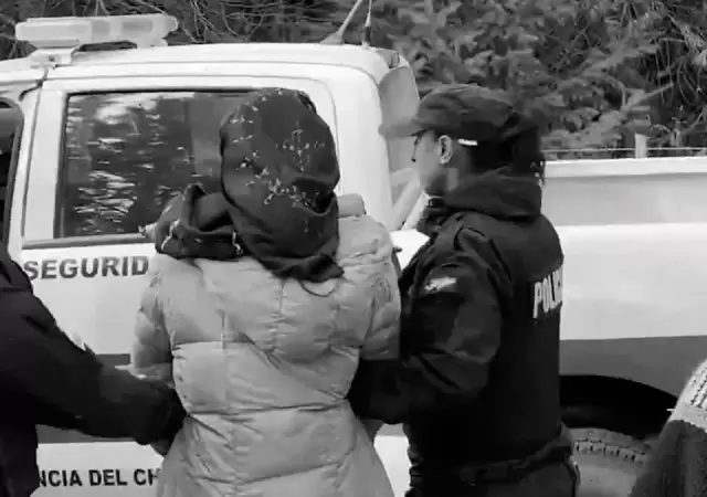 Mapuche detenida