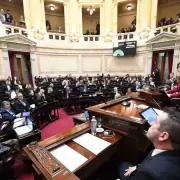 Avanza la suspensi�n de las PASO: el Senado la deja a un paso de ser ley