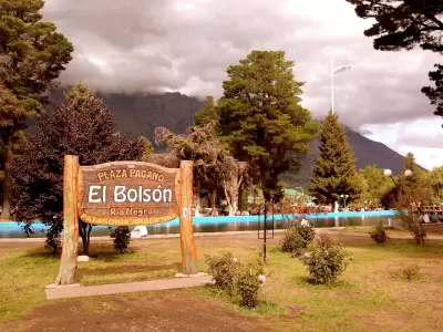 El Bols�n.