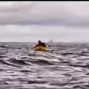 La an�cdota de su vida: se lo comi� una ballena jorobada y lo escupi�