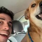 Un programador creó una herramienta para ayudar a quienes sufren por los animales