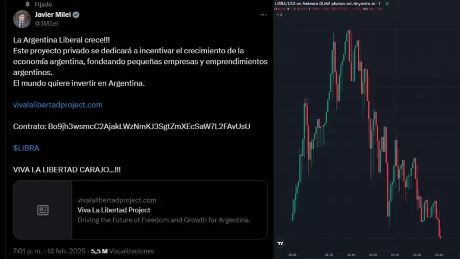 El posteo de Milei