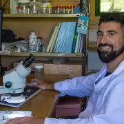 En Mendoza descubrieron una ara�a que utiliza a las hormigas como taxi: �cu�l es?