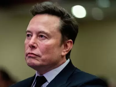 Elon Musk realiz� un posteo contra Netflix que encendi� las redes.