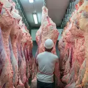 Crece la exportaci�n de carnes pero sigue planchado el consumo interno