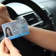 Cambios en el carnet de conducir: qu� se propone en la Legislatura mendocina