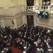 El Senado de la Naci�n convirti� en ley la suspensi�n de las PASO