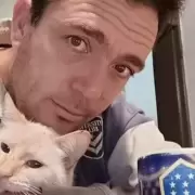 Freija, la gata perdida: la búsqueda incansable de un miembro más de la familia