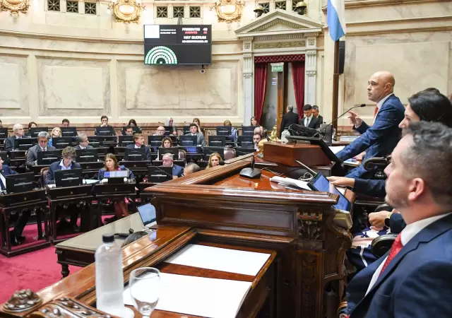 El Senado tiene el pliego de Lijo