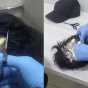 Video: detuvieron a un "narcopeluca" en un aeropuerto colombiano