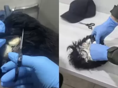 Las drogas estaban distribuidas en 19 c�psulas.