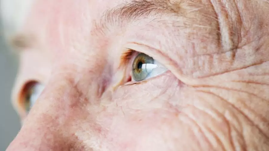 Incorporar lute�na, en un plazo m�ximo de 36 meses, puede mejorar los s�ntomas relacionados con la degeneraci�n macular, asociada a la edad.