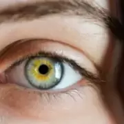 Lute�na: el antioxidante que produce tu propio cuerpo y evita sufrir de glaucomas