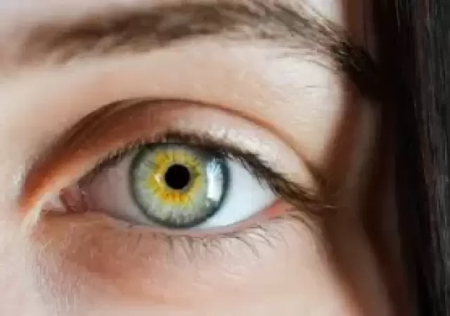 Lute�na: la tenemos en nuestro cuerpo, y previene el glaucoma.