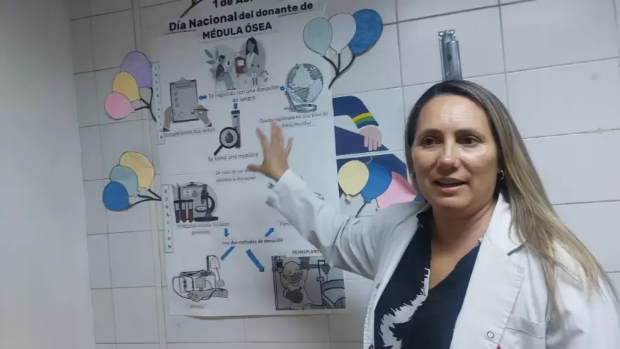 La extracci�n se puede hacer por dos m�todos: por punci�n, en los huesos de la cadera, o por aparatolog�a.