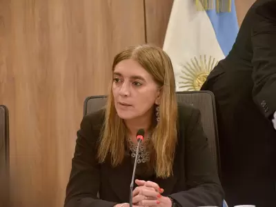 La legisladora nacional radical integra el bloque Democracia Para Siempre. (Foto: archivo web)