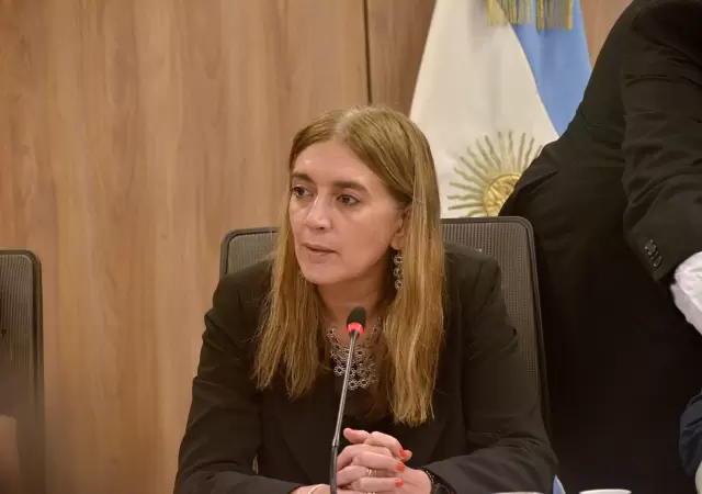 La legisladora nacional radical integra el bloque Democracia Para Siempre. (Foto: archivo web)
