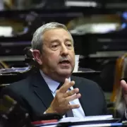 Menores delincuentes y una propuesta del diputado nacional Julio Cobos