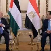 Egipto y Palestina coordinan la reconstrucci�n de Gaza