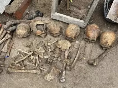 Cr�neos encontrados en una vivienda de Pinamar/