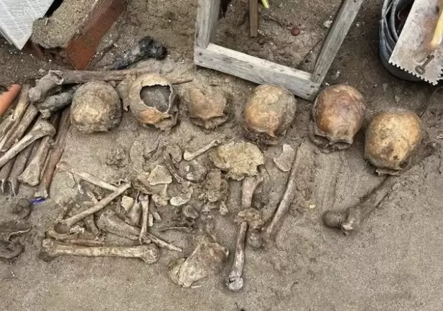 Cr�neos encontrados en una vivienda de Pinamar/