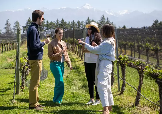 El vino siempre es atractivo para los turistas extranjeros en Mendoza/