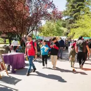 Ferias de artesan�as, una tradici�n cultural en toda la Argentina