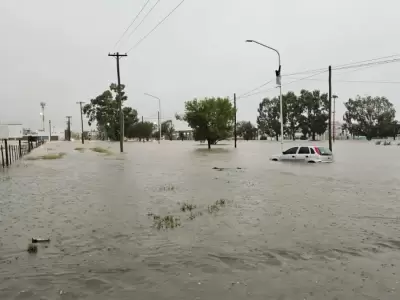 La tormenta hizo estragos en Bah�a Blanca
