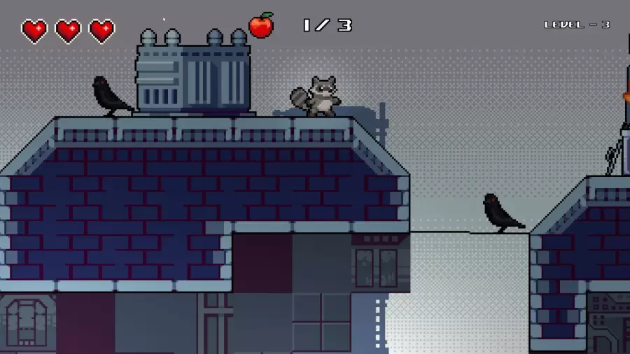 Raccoon is Hungry