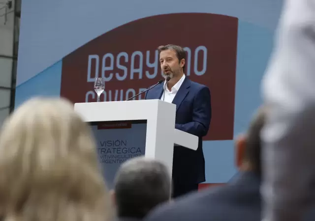 Mario Gonzlez, presidente de Coviar (Foto: web)