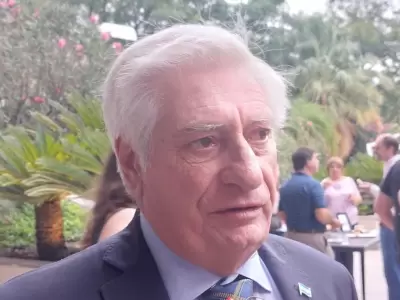 Carlos Tizio, presidente del INV