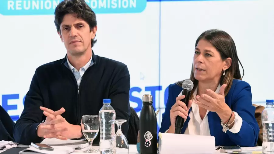 Lousteau y Tagliaferri buscan firmas para bajar a Garc�a Mansilla