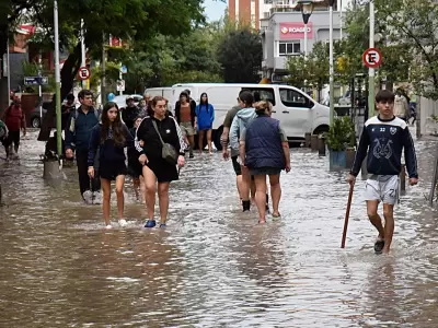 La alerta se encendi� en Bah�a Blanca ante la probable aparici�n de enfermedades luego de la brutal tormenta que azot� al sur de Buenos Aires.