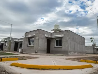 Programa del IPV.