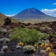 La Payunia: la joya arqueol�gica que esconde una belleza �nica