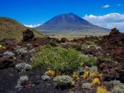 La Payunia es un tesoro natural a 570 kil�metros de la Ciudad de Mendoza.