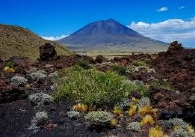 La Payunia es un tesoro natural a 570 kil�metros de la Ciudad de Mendoza.
