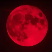 Eclipse total de Luna: d�nde, c�mo y cu�ndo ver el fen�meno que iluminar� el cielo