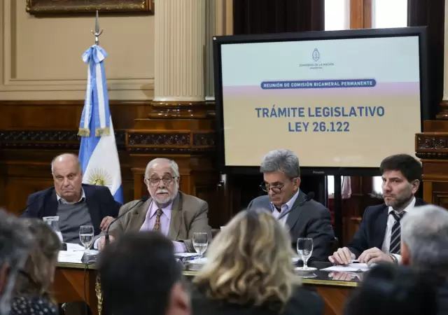 Comisi�n Bicaneral     /