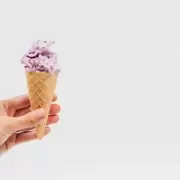 Un ni�o llam� al 911 para denunciar que su madre le rob� su helado