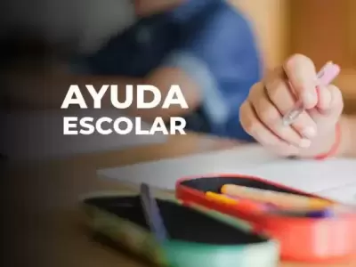 La escolaridad alcanza a las asignaciones AUH y SUAF de ANSES.