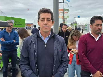 Wado de Pedro