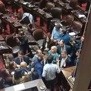Papelón en Diputados: Zago y Almirón se fueron a las manos en plena sesión