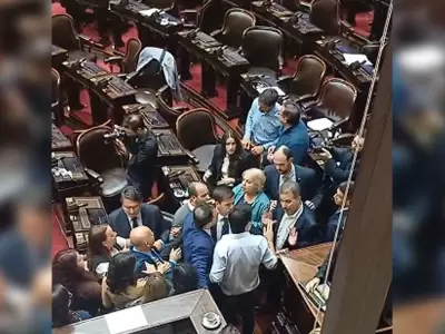 Papel�n en Diputados: Zago y Almir�n se fueron a las manos en plena sesi�n
